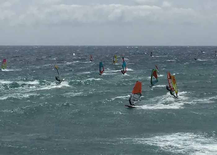 Global Paradise Pozo Izquierdo